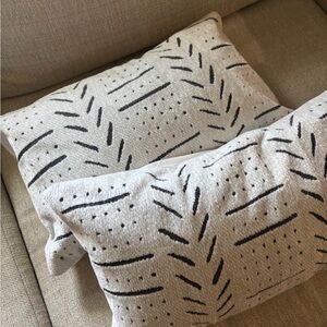 Modern Decorative Throw Pillow Covers Only (2)